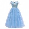 Odizli Cendrillon Costume Enfant Fille Princesse Robe Tulle Longue Robe de Bal Halloween Noël Carnaval Party Cosplay + Access