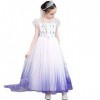 IWEMEK Robe de princesse Elsa 2 pour fille - Costume de Reine des Neiges - Flocon de neige en tulle - Accessoires pour cospla