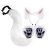 Perfeclan Anime Chat Costume Animal, Queue en Peluche Chaton Bandeau S Accessoires Accessoires pour Cosplay Cadeaux Adultes, 