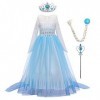 IBTOM CASTLE Elsa Anna Princesse Glace Neiges Costume Enfant Fille Cosplay Longue Déguisement et Accessoires à Manches Courte
