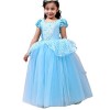 Lito Angels Deguisement Robe Princesse Cendrillon avec Accessories Enfant Fille, Anniversaire Fete Carnaval Halloween Costume
