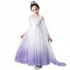 IWEMEK Robe de princesse Elsa 2 pour fille - Costume de Reine des Neiges - Flocon de neige en tulle - Accessoires pour cospla