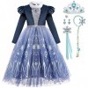 LiUiMiY Déguisement Elsa Costume Robe Reine Princesse Fille Manche Longue Tulle pour Anniversaire Canarval Noël avec Accessoi