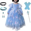 Windskids Cendrillon Déguisement et Accessoires Fille Cosplay Cinderella Scintillant Papillon Tulle Robe de Princesse Noël Ca