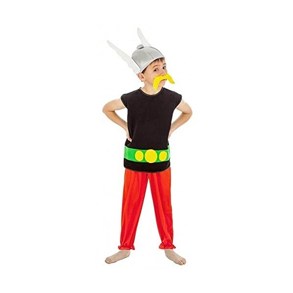 Déguisement Astérix enfant - Coloré - 5 à 6 ans 116 cm 