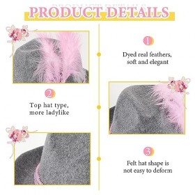 SATINIOR 6 Chapeaux de Fête de Bière pour Adultes Chapeau Panama Bavarois Traditionnel Fedora avec Plumes Edelweiss pour Fête