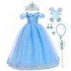 Cendrillon Costume Fille Enfant Cendrillon Princesse Robe Papillon Tulle Longue Robe de Bal Halloween Noël Carnaval Anniversa