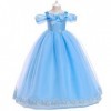 Cendrillon Costume Fille Enfant Cendrillon Princesse Robe Papillon Tulle Longue Robe de Bal Halloween Noël Carnaval Anniversa