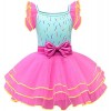 Foanja Fancy Nancy Déguisement Fille Nancy Princesse Ballet Tulle Robe et Pantalon Accessoires Masque Collier pour Enfant Dre