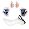 Faux Fourrure Loup Fox Queue Clip Oreilles Et Gants Ensemble Imitation Bête Queue Oreilles Costume À La Main Cosplay Jeu De R