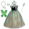 IBTOM CASTLE Costume de princesse Anna La Reine des Neiges pour fille - Robe de costumade Anna et Elsa - Tenue de fête - Hall