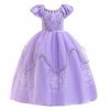 HIHCBF Déguisement de princesse de sofia pour fille Raiponce Anniversaire, Noël, Halloween, Cosplay, Carnaval, avec gants acc