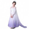 IWEMEK Robe de princesse Elsa 2 pour fille - Costume de Reine des Neiges - Flocon de neige en tulle - Accessoires pour cospla