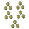 ibasenice 15 Pièces Eva Carapace De Tortue Halloween Accessoires DHabillage Carapace De Tortue Accessoires De Cosplay Access