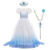 Filles Elsa 2 Robe Princesse Costume Ice Snow Reine Fantaisie Robe Flocon De Neige Tulle Robe Accessoires Tenues Enfants Cosp