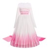 Filles Elsa 2 Robe Princesse Costume Ice Snow Reine Fantaisie Robe Flocon De Neige Tulle Robe Accessoires Tenues Enfants Cosp