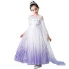 Filles Elsa 2 Robe Princesse Costume Ice Snow Reine Fantaisie Robe Flocon De Neige Tulle Robe Accessoires Tenues Enfants Cosp