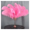 XUNCHUNG Plumes dautruche Rose, 15-70cm / 6-28inch Nature Plumes dautruche for Vase Table Centerpieces, Accessoires de Mari