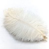 10 pièces/lot plumes dautruche colorées for Vase décor Plume artisanat cheveux mariage couture accessoires Color : Sky Blue