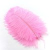 10 pièces/lot plumes dautruche colorées for Vase décor Plume artisanat cheveux mariage couture accessoires Color : Sky Blue