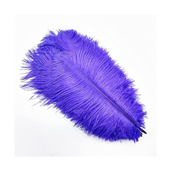 10 pièces/lot plumes dautruche colorées for Vase décor Plume artisanat cheveux mariage couture accessoires Color : Sky Blue