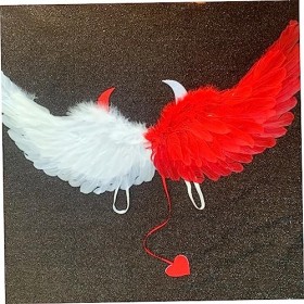 Abaodam 5 Pièces Tenue Costume Rouge Noël Femmes Accessoires Diable Vêtements Photo Costumes Poule Adulte Blanc Filles Ailes 