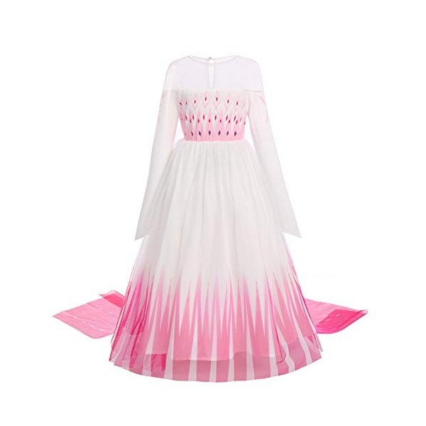 Filles Elsa 2 Robe Princesse Costume Glace Reine des Neiges Déguisement Flocon de Neige Tulle Robe Accessoires Tenues Enfants