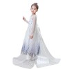 Filles Elsa 2 Robe Princesse Costume Glace Reine des Neiges Déguisement Flocon de Neige Tulle Robe Accessoires Tenues Enfants
