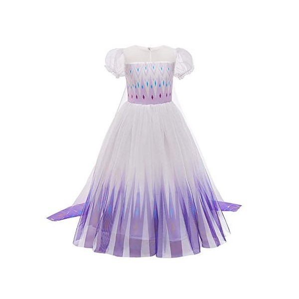 Filles Elsa 2 Robe Princesse Costume Glace Reine des Neiges Déguisement Flocon de Neige Tulle Robe Accessoires Tenues Enfants