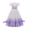Filles Elsa 2 Robe Princesse Costume Glace Reine des Neiges Déguisement Flocon de Neige Tulle Robe Accessoires Tenues Enfants