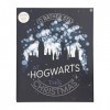 Paladone Products Ltd ***Harry Potter Advent Calendar