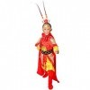 Clothing Enfants Sun Wukong vêtements, Journey to The West Roi Singe Costumes, Ensemble Complet de Costumes de Jeu de rôle po