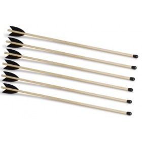 BestSaller Flèche 40 cm avec ventouse, lederbefiedert, Accessoires pour feuilles Lot de 6 