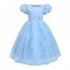 VIROYA Elsa Dress Up pour Filles Ice Snow Queen Dress Up Costume Paillettes Flocon de Neige Princesse Robe + Accessoires Cont