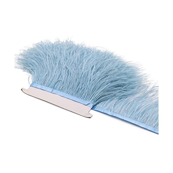 XUNCHUNG 8-1 0cm Plats dautruche Garniture Frange, 10 mètres de décoration Naturelle Plumes Ruban for Accessoires de vêtemen