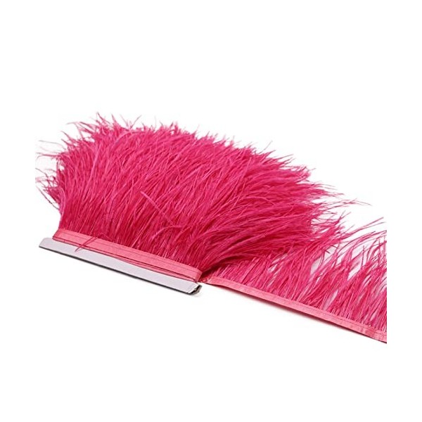 XUNCHUNG 8-1 0cm Plats dautruche Garniture Frange, 10 mètres de décoration Naturelle Plumes Ruban for Accessoires de vêtemen