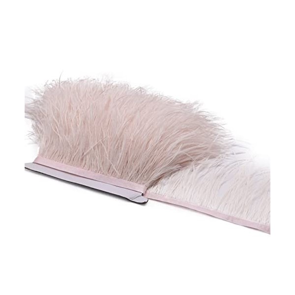 XUNCHUNG 8-1 0cm Plats dautruche Garniture Frange, 10 mètres de décoration Naturelle Plumes Ruban for Accessoires de vêtemen