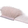 XUNCHUNG 8-1 0cm Plats dautruche Garniture Frange, 10 mètres de décoration Naturelle Plumes Ruban for Accessoires de vêtemen