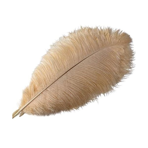 QUALITY COTTON HOUSE 15-55 cm Champagne Plumes dautruche Plumes for Artisanat Bricolage Accessoires de Mariage décoration Ta