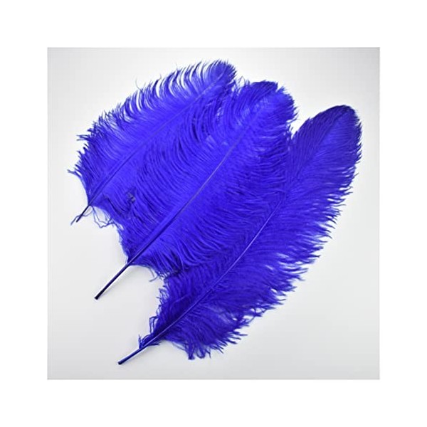 XUNCHUNG 10pcs Blue Autruche Plumes, Grandes Plumes de Nature Pluma for vases Centres de Table de Table, décoration de fête d