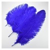 XUNCHUNG 10pcs Blue Autruche Plumes, Grandes Plumes de Nature Pluma for vases Centres de Table de Table, décoration de fête d