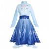 Filles Elsa Costume Glace Reine des Neiges Princesse Habiller Flocon de Neige Tulle Robe + Manteau + Pantalon + Accessoires E