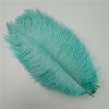 XUNCHUNG 10pcs / Plumes dautruche colorées de lot, Plumes dautruche for tablettes de Table Carnival Plumas décor, Artisanat