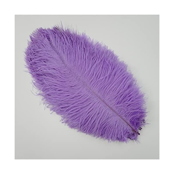 XUNCHUNG 10pcs / Plumes dautruche colorées de lot, Plumes dautruche for tablettes de Table Carnival Plumas décor, Artisanat