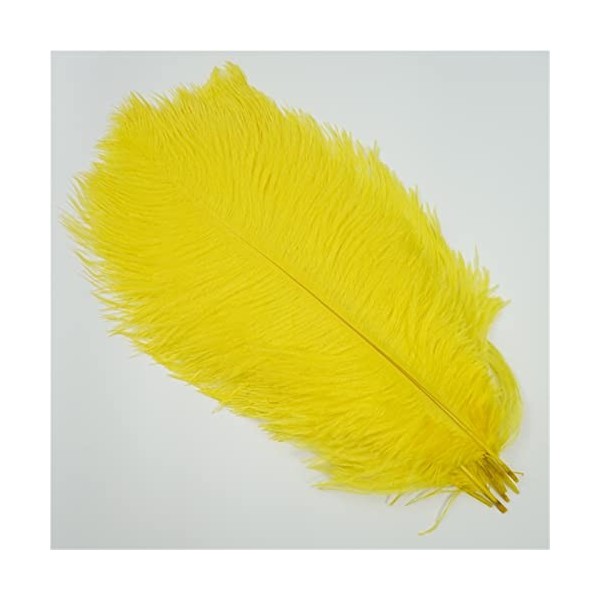 XUNCHUNG 10pcs / Plumes dautruche colorées de lot, Plumes dautruche for tablettes de Table Carnival Plumas décor, Artisanat