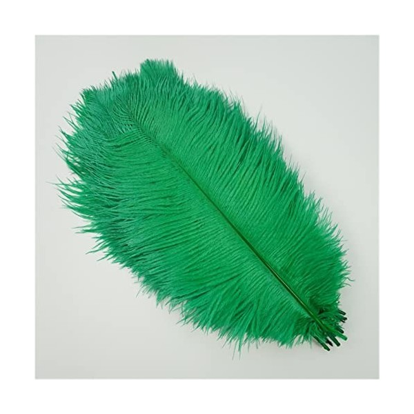 XUNCHUNG 10pcs / Plumes dautruche colorées de lot, Plumes dautruche for tablettes de Table Carnival Plumas décor, Artisanat