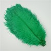 XUNCHUNG 10pcs / Plumes dautruche colorées de lot, Plumes dautruche for tablettes de Table Carnival Plumas décor, Artisanat
