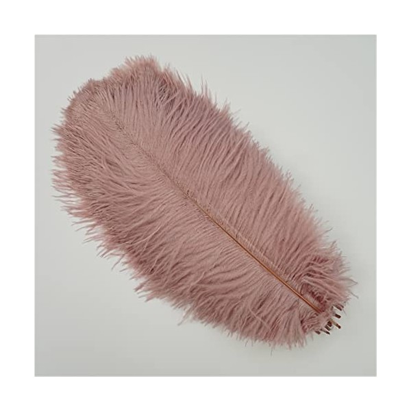 XUNCHUNG 10pcs / Plumes dautruche colorées de lot, Plumes dautruche for tablettes de Table Carnival Plumas décor, Artisanat