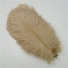 XUNCHUNG 10pcs / Plumes dautruche colorées de lot, Plumes dautruche for tablettes de Table Carnival Plumas décor, Artisanat