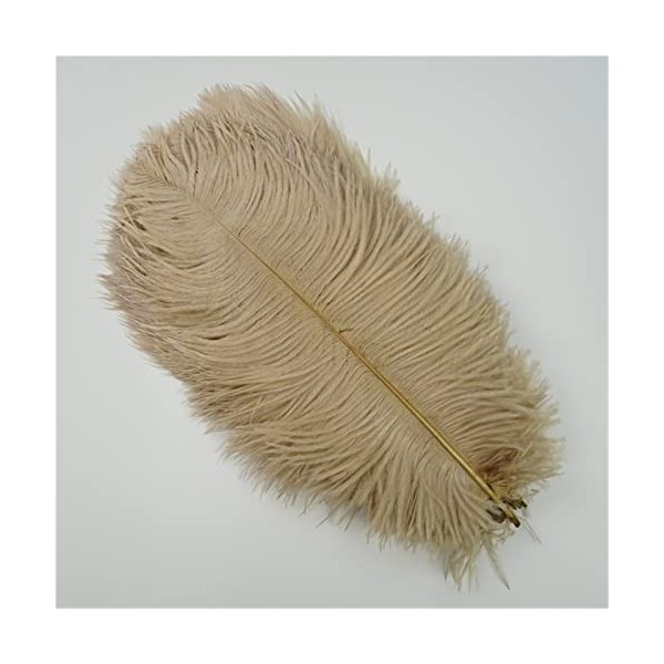 XUNCHUNG 10pcs / Plumes dautruche colorées de lot, Plumes dautruche for tablettes de Table Carnival Plumas décor, Artisanat